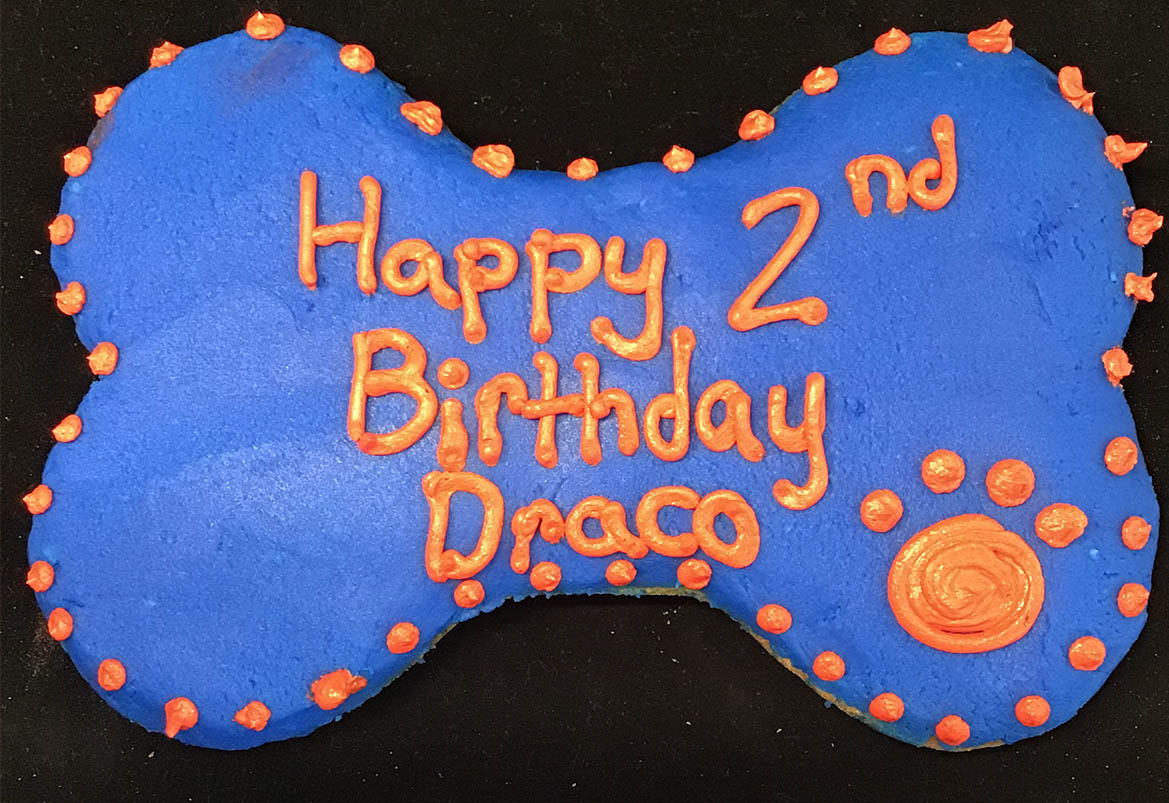 Order Canine Birthday Cakes Smilin' Dog Bakery Naples, Florida