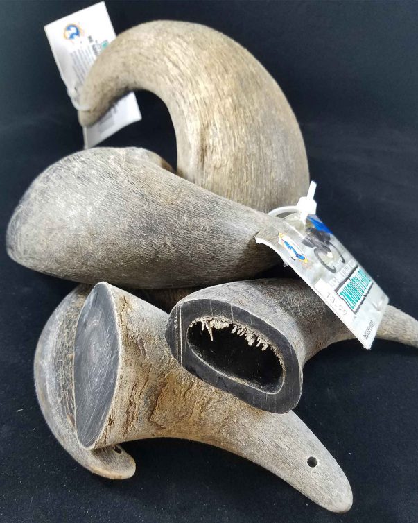 Water Buffalo Horns for Dogs Smilin' Dog Bakery Naples, Florida Water Buffalo Horns for Dogs Smilin' Dog Bakery Naples, Florida